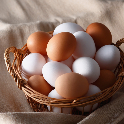 Are 200 Chickens For Eggs Enough to Make a Profit?