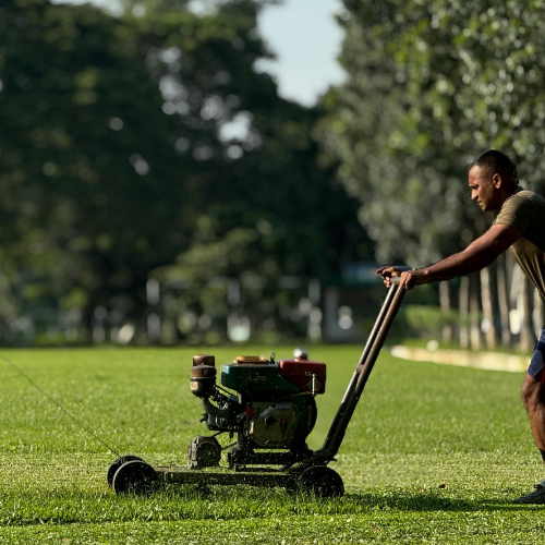 Growing Instant Lawn to make R10 000 a month in South Africa