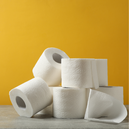Profitable Toilet Paper Manufacturing Business